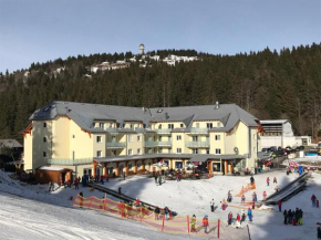 Ferienwohnung Gipfelstürmer Feldberg